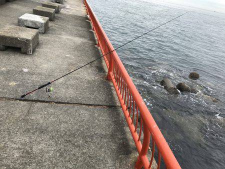 なんとか、ボウズは…。