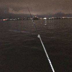 試し釣り&初調査