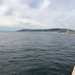 カサゴの煮付け