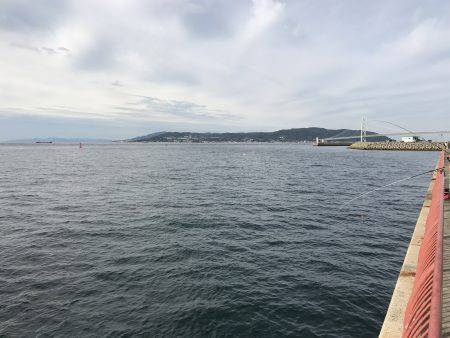 カサゴの煮付け