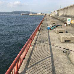 飽きのこない程度に…。