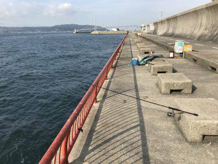 飽きのこない程度に…。