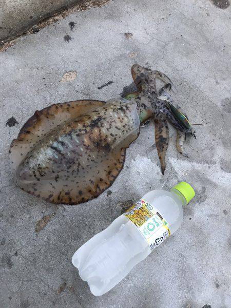 深夜からのランガン