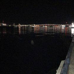 渋いなかの…。