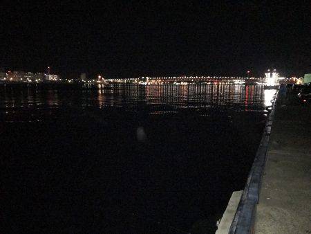 渋いなかの…。