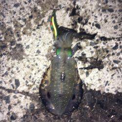 オールリリース…