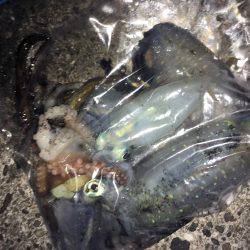 牛ヶ首からの泉南