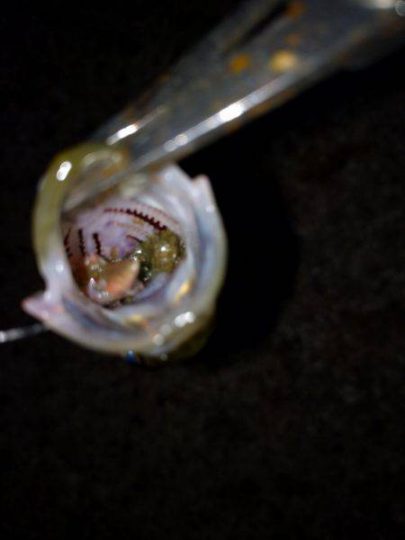 久々にエサ釣り