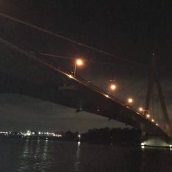 ルアーで色々釣り