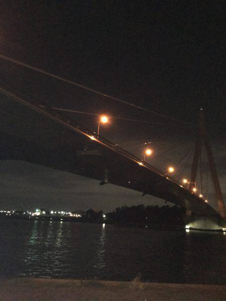 ルアーで色々釣り