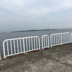 家族でフィッシング