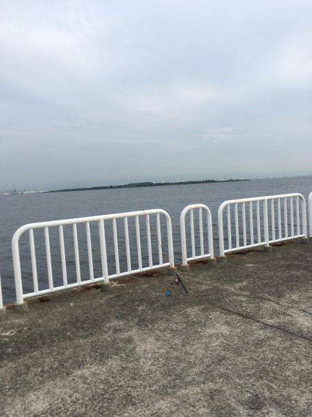 家族でフィッシング