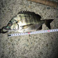 調子乗っちゃって！