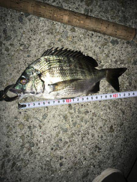 調子乗っちゃって！