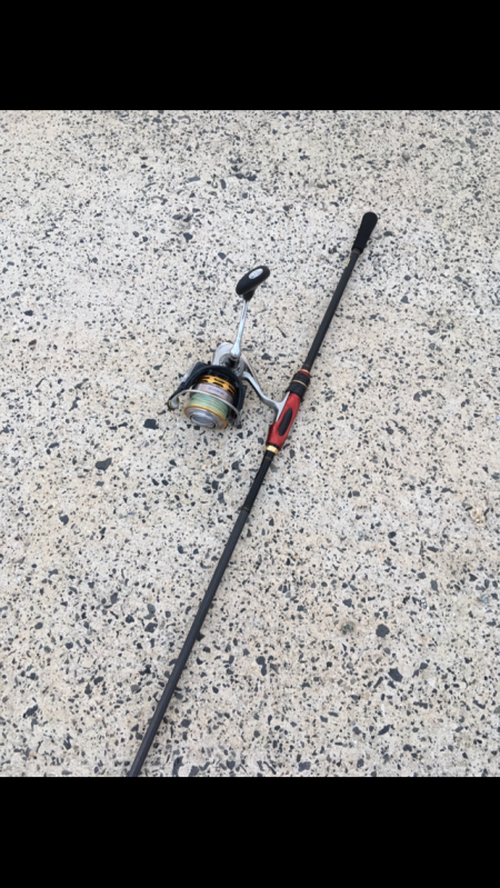 能登エギング好調？