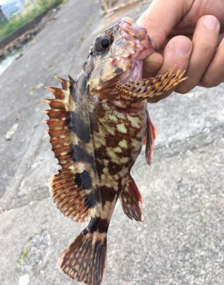 ちょい投げ&トリック