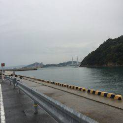 小タチ サーべリング