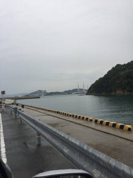 小タチ サーべリング