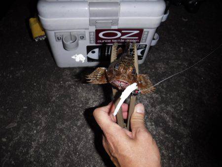 ガジリングにはまってます‼️