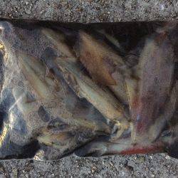 秋めいてきました。