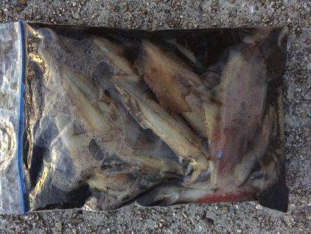 秋めいてきました。