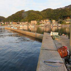 アジ狙いも不発