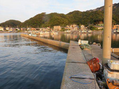 アジ狙いも不発