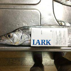 オンスタックル杯出場