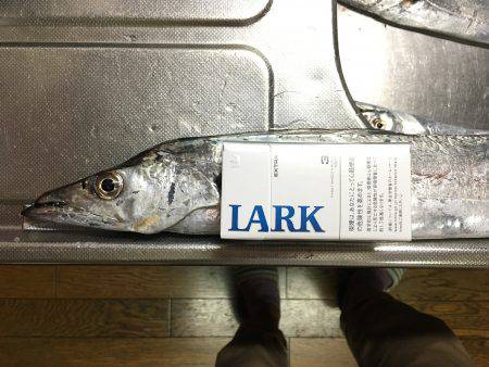 オンスタックル杯出場