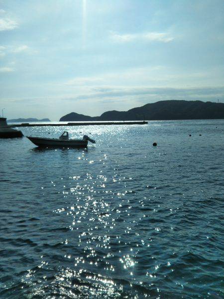 阿南市の椿泊でタチウオ