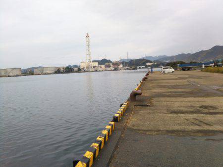 阿南市の答島港と大潟岸壁でタチウオ