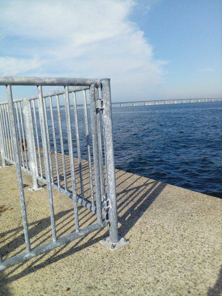 お父さんお母さんを連れてきて！