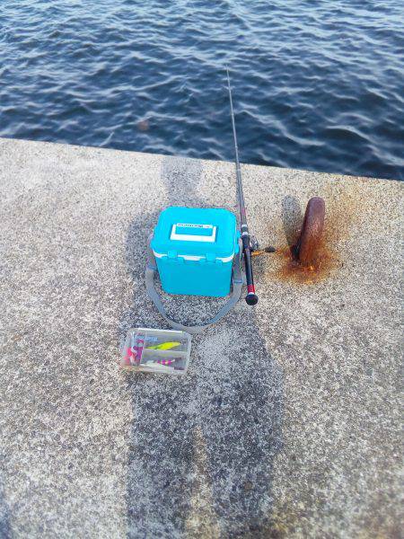 やっぱり土産はタコかいな‼