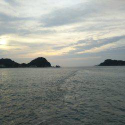 阿南市の辰巳でタチウオとカマス