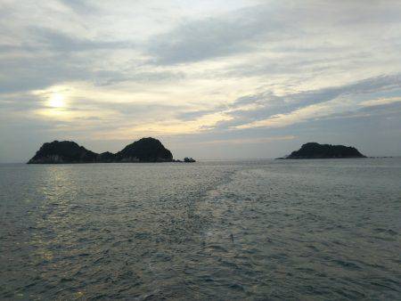 阿南市の辰巳でタチウオとカマス