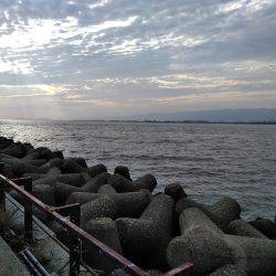 年間10本達成！