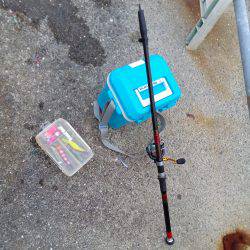 お兄さんとお姉さんが来ましたね。