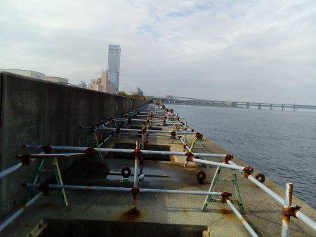 タコだけは良く釣れるんだけどなあ( ≧∀≦)ノ