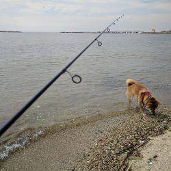 秋のキッシング