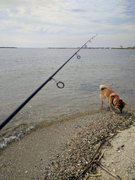 秋のキッシング