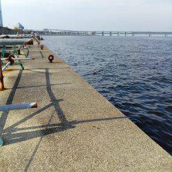 今朝は7つです(^_^)v