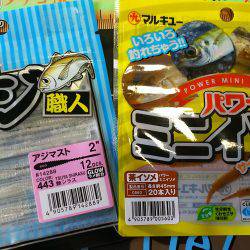 ２連夜の湾奥アジング