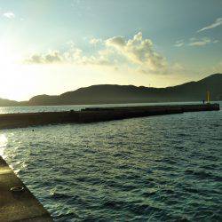 阿南市の椿泊でタチウオ