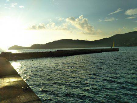 阿南市の椿泊でタチウオ