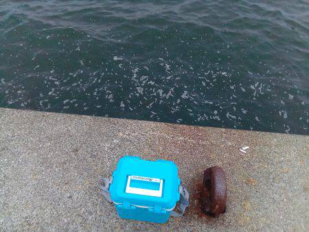 釣れないのは潮のせい、それとも腕?