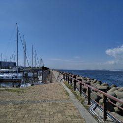 ビッグファイト+α