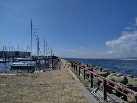 ビッグファイト+α