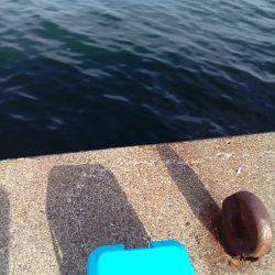 天気は最高なんだがなぁ~(  ̄ー ̄)