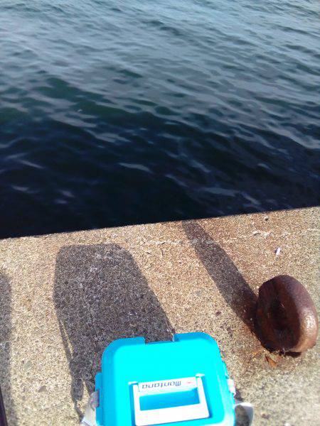 天気は最高なんだがなぁ~(  ̄ー ̄)