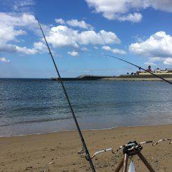 ゆっくりベラ釣り